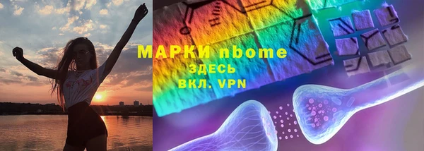 прущие грибы Абинск