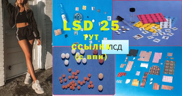 прущие грибы Абинск