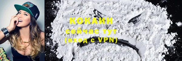 прущие грибы Абинск
