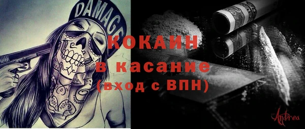 прущие грибы Абинск